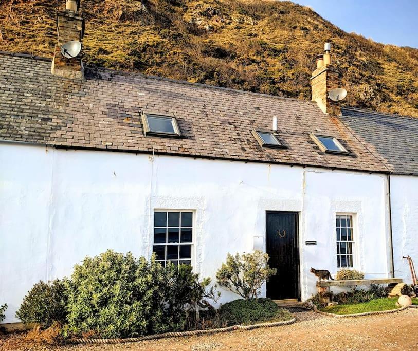 The Cottage By The Sea, Scotland Burnmouth Exteriör bild